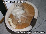 Weekend.jpg image by acobjoe